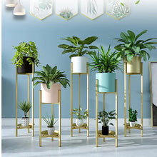 Load image into Gallery viewer, Plant pot set without flowers 3 pcs