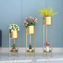 Load image into Gallery viewer, Plant pot set without flowers 3 pcs