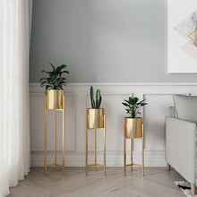 Load image into Gallery viewer, Plant pot set without flowers 3 pcs