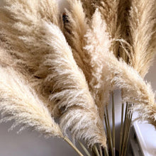 Load image into Gallery viewer, Dried natural pampas