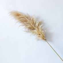 Load image into Gallery viewer, Dried natural pampas