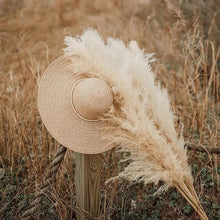 Load image into Gallery viewer, Dried natural pampas