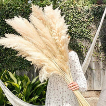 Load image into Gallery viewer, Dried natural pampas