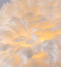 Load image into Gallery viewer, TRENDY FEATHER LIVING R00M LAMP
